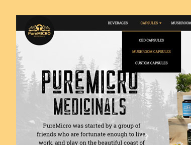 PureMicro