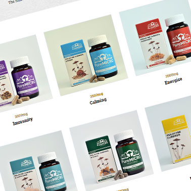 PureMicro screenshot