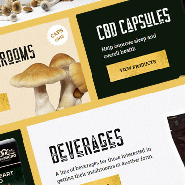 PureMicro screenshot